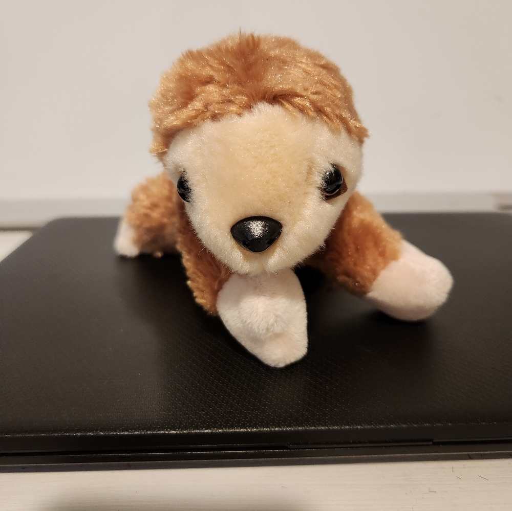 Aurora brown baby sloth plush stuffed animal.